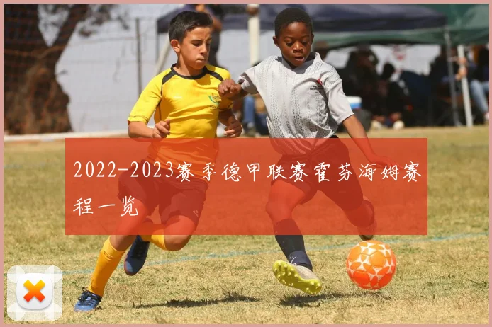 2022-2023赛季德甲联赛霍芬海姆赛程一览