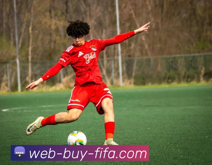 世界杯买球网站服务体系